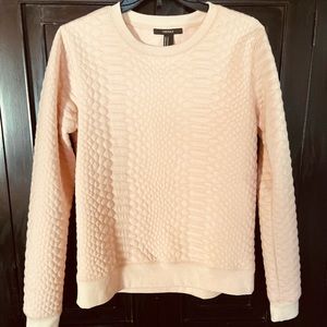 Pink Sweatshirt, Forever 21